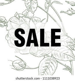 sale Concept. Summer background with tropical flowers. Template Vector.