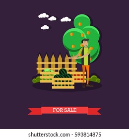 For sale concept vector illustration in flat style. Gardener man selling watermelon, cabbage and tomatoes.