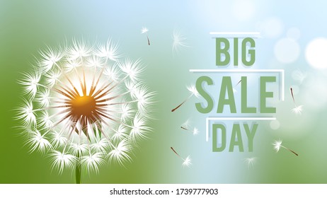 Sale day banner. Season discount flyer with realistic dandelion flower and flying fluffy seeds vector background