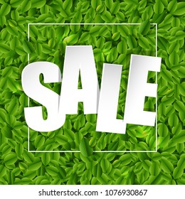 Sale Green Poster With Green Leaves Background, Vector Illustration
