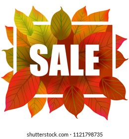 Sale lettering in frame. Creative inscription with colorful autumn leaves. Illustration with lettering can be used for banner, posters and leaflets