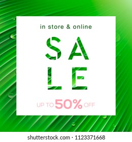 Sale poster, border frame design decorated with tropical palm leave background, vector illustration.