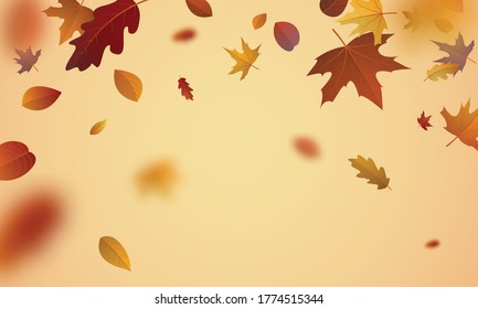 Sale poster design for autumn With leaves not falling beautifully on the background