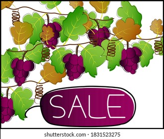 sale poster for purpule grapes