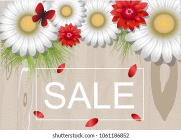 Sale. Spring banner with daisies and butterfly.