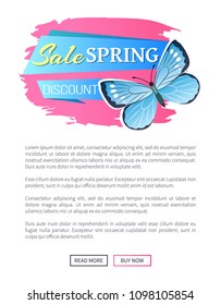 Sale spring discount label blue butterfly and dots, wings with ornaments antenna, morpho springtime creature vector promo sticker price reduce concept emblem