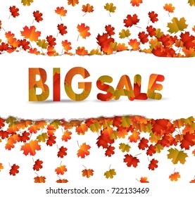 Sales banner with autumn leaves isolated on white background