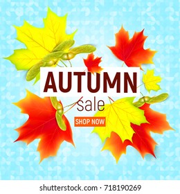 Sales banner with maple autumn leaves. Sales banner with maple autumn leaves on blue background. Vector illustration