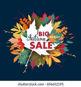 Sales banner with multicolor autumn leaves. Vector discount offer, fall poster background. Layout for discount labels and shopping.