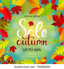 Sales banner with multicolor autumn leaves. Vector discount offer, fall poster background. Layout for discount labels and shopping.
