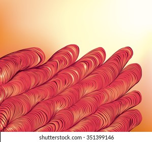 Salient sinuous warp op volume wavy form tracery vivid coral color with dark burgundy strokes. Irregular art billowy curve crimp deform fond lean direction with space for text in glowing angle