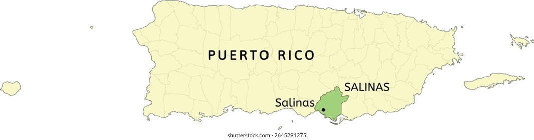 Salinas municipality and town of Salinas location on Puerto Rico map