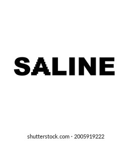 logotipo de tipografía de marca de palabras conceptual salina 