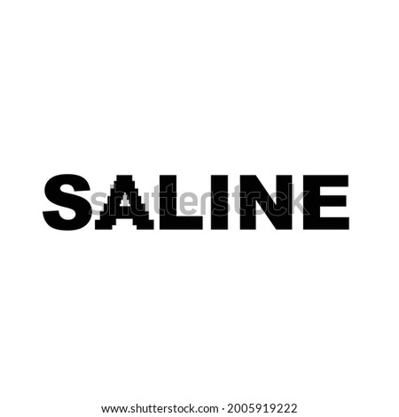 saline conceptual wordmark typography logo 