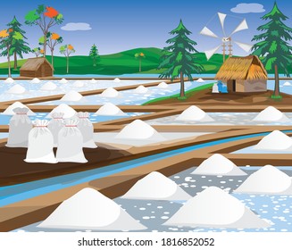 campo salino en diseño vectorial de campo