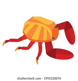 Sally lightfood crab from Galapagos island