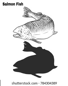 Salmon art highly detailed in line art style.Fish vector by hand drawing.Fish tattoo on white background.Black and white fish vector on white background.Salmon fish sketch for coloring book.