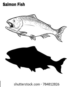 Salmon art highly detailed in line art style.Fish vector by hand drawing.Fish tattoo on white background.Black and white fish vector on white background.Salmon fish sketch for coloring book.