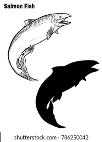 Salmon art highly detailed in line art style.Fish vector by hand drawing.Fish tattoo on white background.Black and white fish vector on white background.Salmon fish sketch for coloring book.