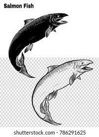 Salmon art highly detailed in line art style.Fish vector by hand drawing.Fish tattoo on white background.Black and white fish vector on white background.Salmon fish sketch for coloring book.