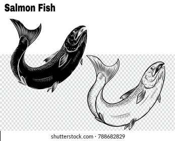 Salmon art highly detailed in line art style.Fish vector by hand drawing.Fish tattoo on white background.Black and white fish vector on white background.Salmon fish sketch for coloring book.