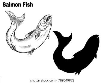 Salmon art highly detailed in line art style.Fish vector by hand drawing.Fish tattoo on white background.Black and white fish vector on white background.Salmon fish sketch for coloring book.