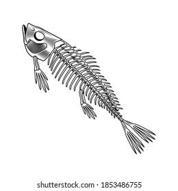Ilustración vectorial de huesos de salmón. Esqueleto de pescado, acorde, aletas, cabeza y cuento. Concepto animal muerto o alimentario para emblemas y etiquetas plantillas