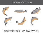salmon collection. salmon in different poses. Vector illustration.