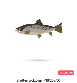 Salmon color flat icon
