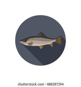 Salmon color flat icon