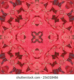 Salmon colored symmetrical flower pattern