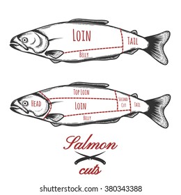 Salmon cuts diagram.