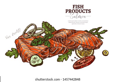 Salmon dish hand drawn vector web banner template. Red fish fillet with vegetables healthy meal outline color illustration. Seafood, omega and vitamins rich food sketch. Fish with herbs drawing