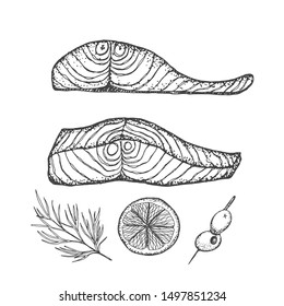 Salmon fillet hand drawn vector illustration. Engraved style vintage seafood. Vintage seafood design template. 