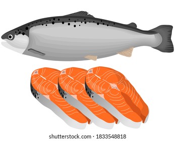 
Salmon and Salmon Fillet Set Vector illustration isolated on white background