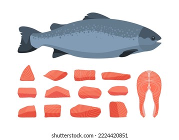 Salmon fish. Cartoon red trout raw steaks unprepared fillet, seafood restaurant menu appetizing meal healthy nutritious diet concept. Vector isolated set of trout salmon raw illustration