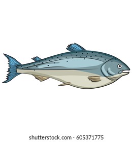 Salmon fish cartoon vector illustration isolated on white background. Seafood icon.