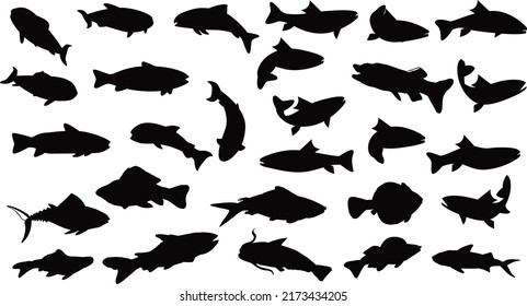 Salmon Fish collection silhouettes premium vector	
