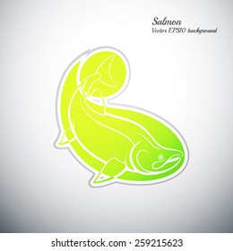 salmon fish colorful icon vector illustration
