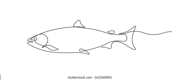 Salmon fish in continuous line art drawing style. Minimalist black linear sketch on white background. Vector illustration