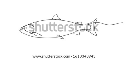 Salmon fish in continuous line art drawing style. Minimalist black linear sketch on white background. Vector illustration