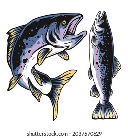 Salmon Fish Design Illustration, can be used for mascot, logo, apparel and more.Editable Design