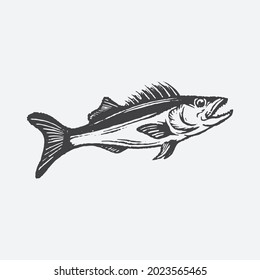 Salmon fish drawing. Creative design.