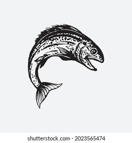 Salmon fish drawing. Creative design.