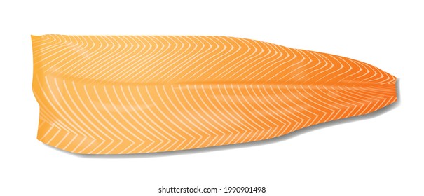 Salmon fish fillet realistic vector illustration isolated on white background
