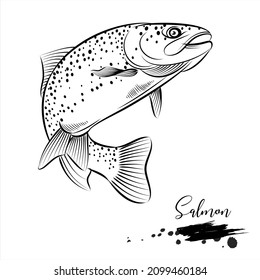 Salmon fish, fresh water fish realistic sketch, vector illustration