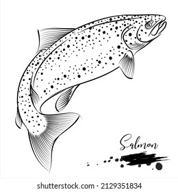 Salmon fish, fresh water fish realistic sketch, vector illustration