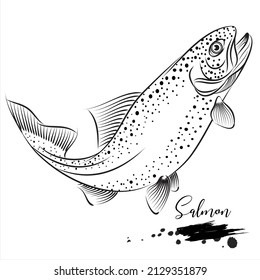 Salmon fish, fresh water fish realistic sketch, vector illustration