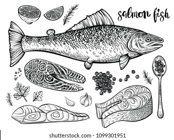 Salmon fish hand drawn vector sketch. Black line illustration of fish fillet and raw pieces, red caviar on spoon and salmon side view. Engraving seafood.