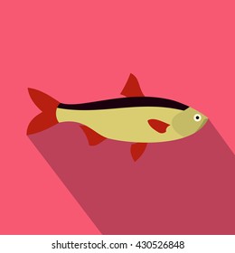 Salmon fish icon